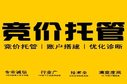 行业领先企业如何通过SEM运营提升ROI